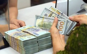 Năm ngoái, một số người Việt trong nước nhận khoảng 16 tỷ USD