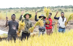 Thành viên đời đầu Team châu Phi bất ngờ rời nhóm, lập kênh riêng