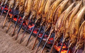 Một 'mỏ vàng' của Việt Nam được Mỹ, Trung Quốc tích cực mua hàng: Thu về hàng tỷ USD, cả thế giới nuôi nhưng chỉ nước ta tạo ra ngành công nghiệp