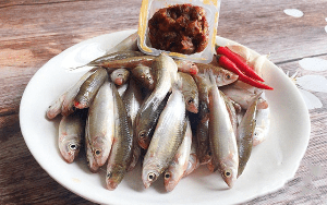 Loại cá được ví như "cá thần", chỉ xuất hiện 3 tháng trong năm: Giàu canxi, thịt mềm, ăn được cả xương