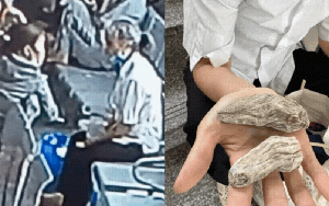 Hà Nội: Camera “bóc trần” màn lừa đảo khó tin ngay tại bệnh viện lớn, bệnh nhân mất 4 triệu chỉ vì 2 củ lạ