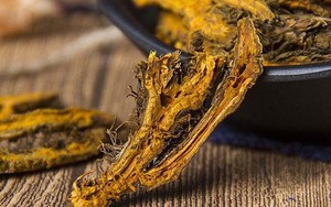 Việt Nam sở hữu một “báu vật” quý hiếm, được đưa vào Sách Đỏ Thế giới: Hoá ra có vô vàn lợi ích