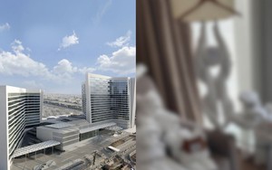 Hành khách sững sờ vì thấy nguyên “vườn thú” đang đợi mình trong phòng khách sạn hàng đầu thế giới