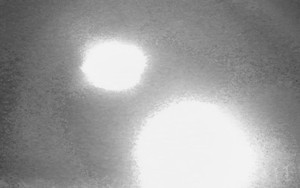 Đặt camera ẩn trong rừng hoang, phát hiện hình ảnh sốc