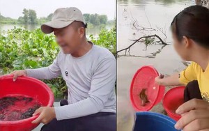 Phóng sinh online: Nhận chuyển khoản thả động vật, khác gì bắt cóc tống tiền