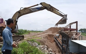 Biến xà bần thành nguyên liệu sạch, góp phần bảo vệ môi trường