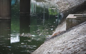 Nước sông không còn đen trở lại, vì sao Tô Lịch vẫn có thể bị mùi hôi thối?