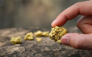 Phát hiện 2.500 kg vàng trị giá 7.000 tỷ đồng bị bỏ