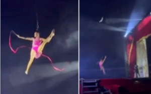 Diễn viên xiếc rơi tự do khi đang nhào lộn