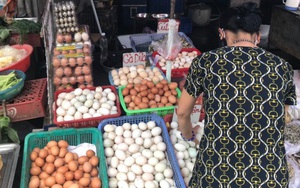 Đi chợ nên mua trứng vỏ trơn hay vỏ nhám? Đây là lời khuyên của chuyên gia