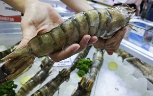 Trung Quốc ồ ạt mua tôm Việt, lần đầu soán vị trí nhập khẩu số 1 từ Mỹ