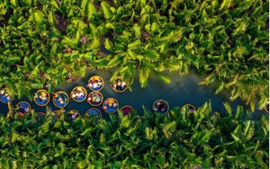 Tạp chí Mỹ ca ngợi ngôi làng nhỏ nép mình giữa rừng dừa của Đà Nẵng đẹp top 20 thế giới, "cảnh sắc thở ra một nhịp an yên"