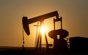 Vừa mua hơn 100.000 tấn nhiên liệu từ Ấn Độ, một khách hàng tuyên bố sẽ hạn chế nhập khẩu từ tháng 10 do lo ngại liên quan đến dầu Nga