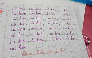 Bài tập viết 29 chữ cái hoa của học sinh lớp 1 bá đạo đến độ dân mạng chỉ biết cười: "Em là nhất, không ai hơn được em"