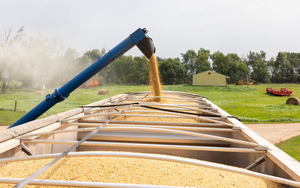 Một ngành của Mỹ khủng hoảng nghiêm trọng sau khi quốc gia BRICS cắt đứt mọi đơn hàng: Là khách sộp nhập 25 tấn/năm, giúp Washington thu về hàng chục tỷ USD