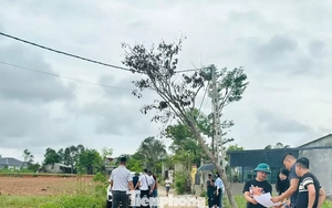'Thổi giá', gom đất, phân lô bán nền tràn lan sau công bố quy hoạch