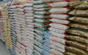 Đột kích 1 nhà máy sản xuất gạo giả, cảnh sát bắt giữ 1 người, tịch thu hơn 200 tấn sản phẩm và nguyên liệu thô cùng toàn bộ dây chuyền chế biến