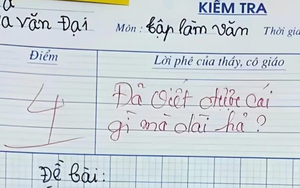 Bài văn viết thư hỏi thăm bà gây bão MXH, được 4 điểm nhưng dân mạng phán: "Không oan tí nào!"