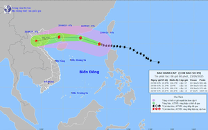 Cách theo dõi diễn biến siêu bão Ragasa