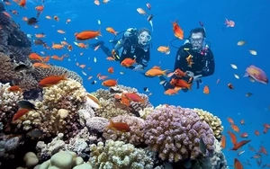 Hai thợ lặn ở Quảng Trị gặp sự cố dẫn đến tử vong