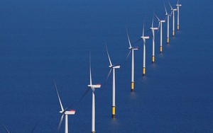 Đầu tư năng lượng tái tạo toàn cầu tăng 10%