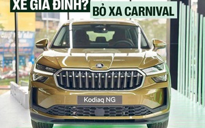 Chỉ còn 10 ngày trước Gala CCA 25: Đây là những cái tên thắng vote nhưng liệu có được lòng giới chuyên môn?