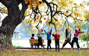 Ngang hàng Kyoto và Nami, thành phố duy nhất của Việt Nam lọt Top 7 điểm đến mùa thu đẹp nhất châu Á