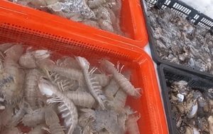 4 thực phẩm dễ bị pha tạp nhất chợ, mua không chú ý nhận về toàn hàng giả