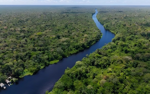 Khi những dòng sông lớn dần biến mất: Báo động sinh thái toàn cầu đang đến gần?