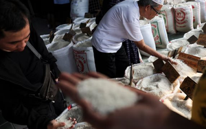 Buồn của quốc gia Đông Nam Á là 'khách ruột' của gạo Việt: Người dân bàng hoàng vì giá đắt đỏ, nguồn cung gạo chất lượng cao khan hiếm