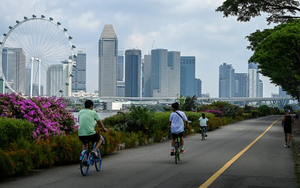 Phép màu kinh tế của 'con hổ châu Á' đứng trước mối đe doạ nghiêm trọng vì một con số thấp kỷ lục, các quan chức chạy nước rút trước khi 'đồng hồ điểm'