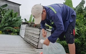 Người dân Huế dùng ‘cách lạ’ chằng chống nhà cửa trước bão gió ra sao?