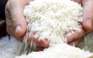 Giá gạo xuất khẩu của Thái Lan giảm xuống mức thấp nhất trong gần 9 năm