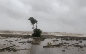 Nhà sập, nhiều nơi chìm trong "biển" nước khi bão số 10 Bualoi đổ bộ