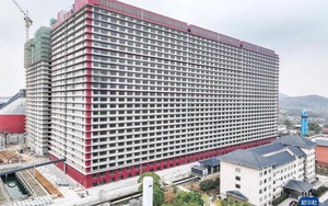 Lần đầu tiên VN hợp tác với TQ về “cách làm hay” trong 1 lĩnh vực dự kiến thu về 10.000 tỷ đồng mỗi năm