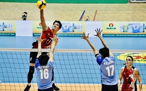 Bích Tuyền có thể là VĐV kiêm HLV ở vòng 2 giải vô địch bóng chuyền quốc gia