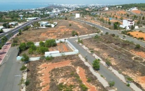 Người dân cầu cứu lãnh đạo tỉnh Lâm Đồng liên quan dự án Tân Việt Phát 2