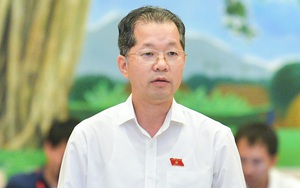 Bí thư Thành ủy Đà Nẵng Nguyễn Văn Quảng giữ chức Phó Tổng Thanh tra Thường trực Thanh tra Chính phủ