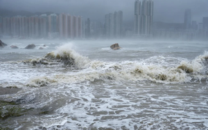 Bắt 4 đối tượng đưa con nhỏ đi ngắm sóng biển vào thời điểm bão Ragasa đổ bộ: Có thể ngồi tù 14 ngày