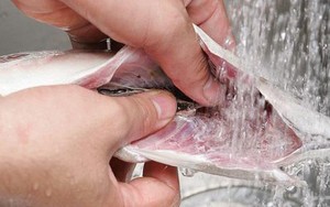 Những bộ phận chứa chất cực độc của cá: Số 1 nhiều người Việt vẫn ăn để "chữa bệnh"