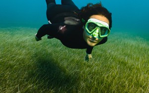 Thế giới bùng nổ nhu cầu tín chỉ Blue Carbon: Đẩy giá cao kỷ lục vào cuối tháng 8/2025