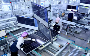 Bong bóng pin mặt trời của Trung Quốc vỡ tung: Top 6 doanh nghiệp lỗ hàng tỷ USD, giá bán rơi tự do, Bắc Kinh cân nhắc thành lập quỹ giải cứu