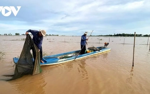 Nguy cơ khủng hoảng nguồn cá sông Mekong