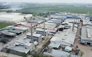 Giải pháp cải tạo, hồi phục những 'vùng đất chết'