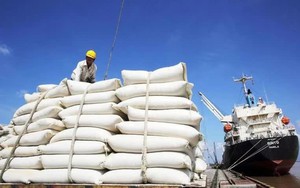 Philippines tạm dừng nhập khẩu gạo, Bộ Công Thương khuyến cáo doanh nghiệp