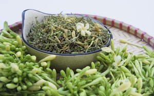 Men gan cao gấp 1.000 lần, suy gan cấp chỉ vì 1 sai lầm khi dùng hoa đu đủ đực ngâm mật ong