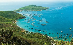 Vịnh biển Việt Nam được vinh danh "tốt nhất thế giới", du khách nhận xét: Hiếm đâu như ở đây!