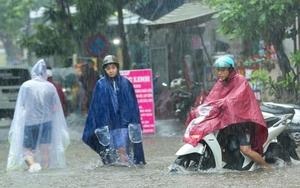 Bão số 7 Tapah đạt cấp cực đại, hoàn lưu có thể gây mưa lớn trên 300mm