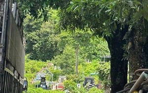 Phát hiện thi thể đang phân hủy trong nghĩa trang