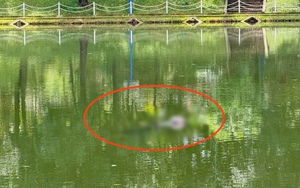 Thi thể người đàn ông nổi trên mặt hồ công viên, nhiều người hoảng hốt